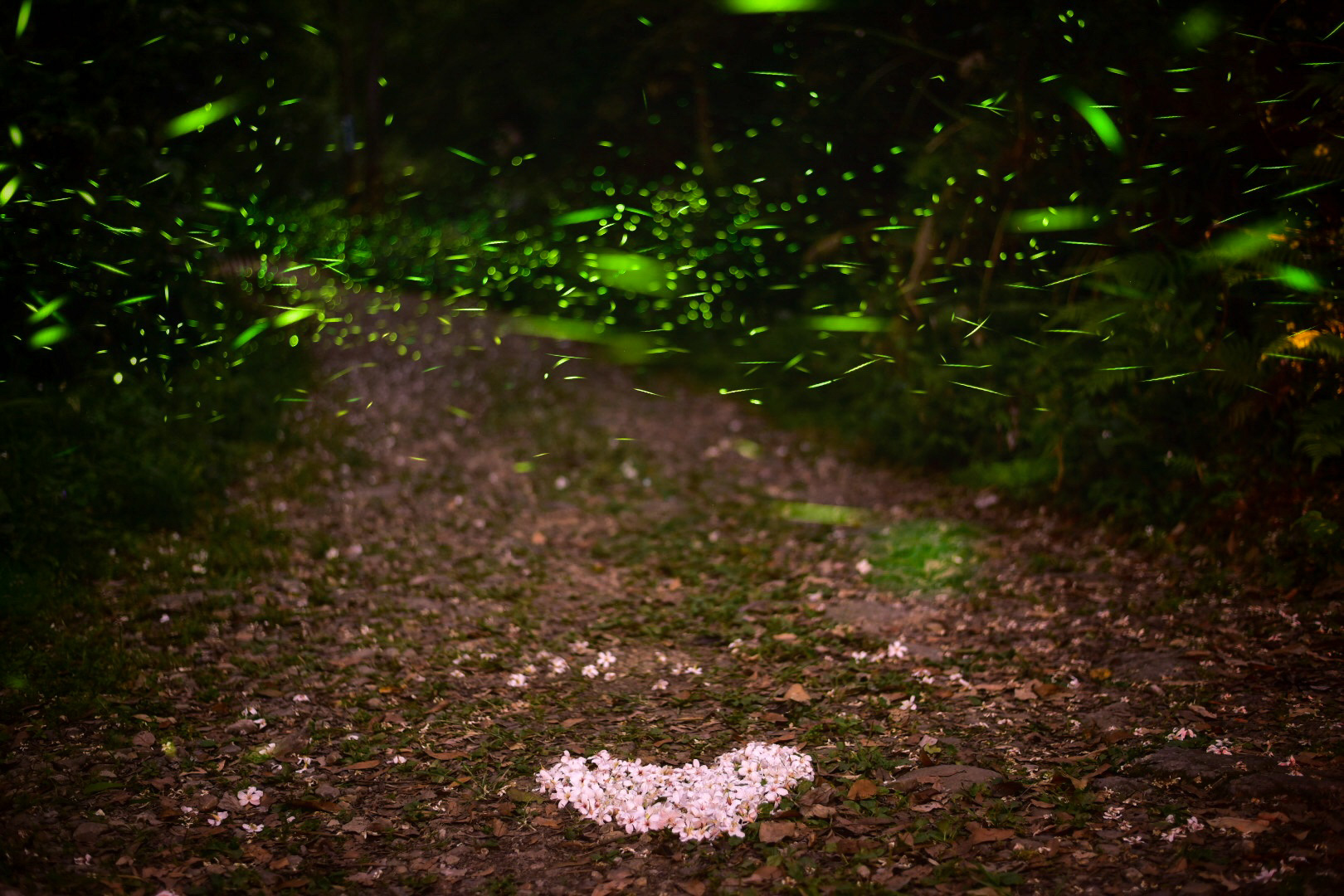 高鐵單程票（測試）