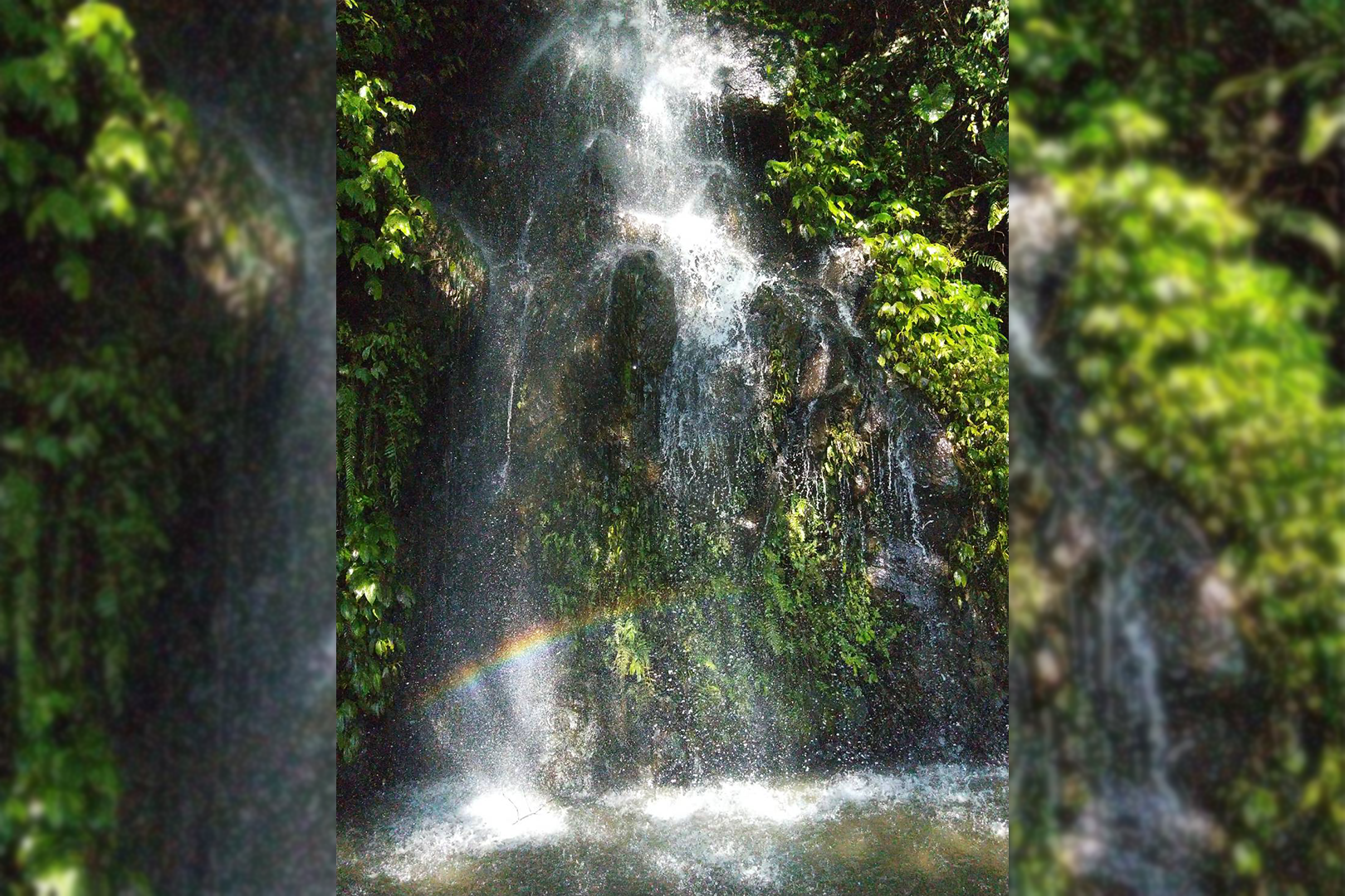 【宜蘭】馥森里山｜里山。藝境一日遊